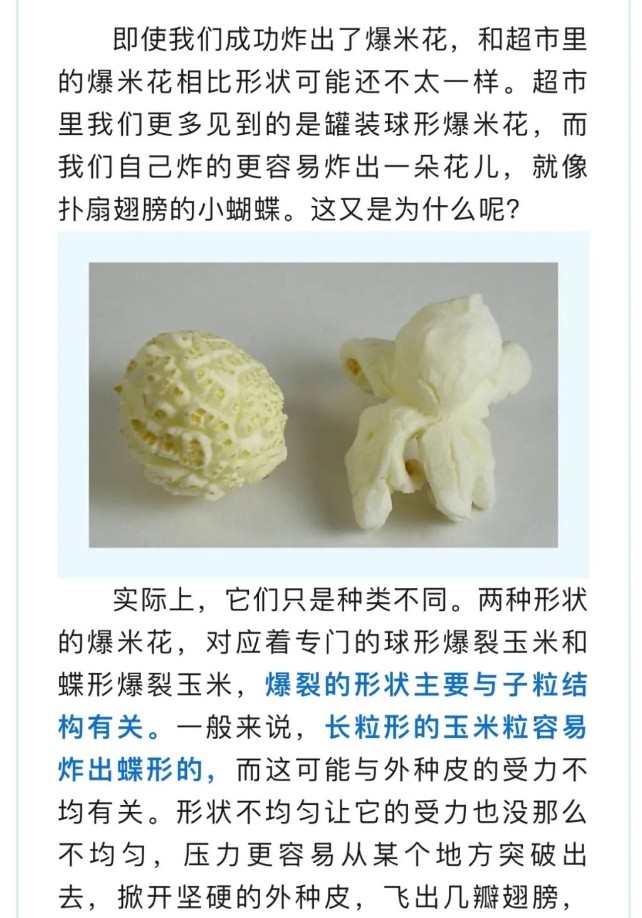【涨知识】玉米是怎么变成爆米花的？