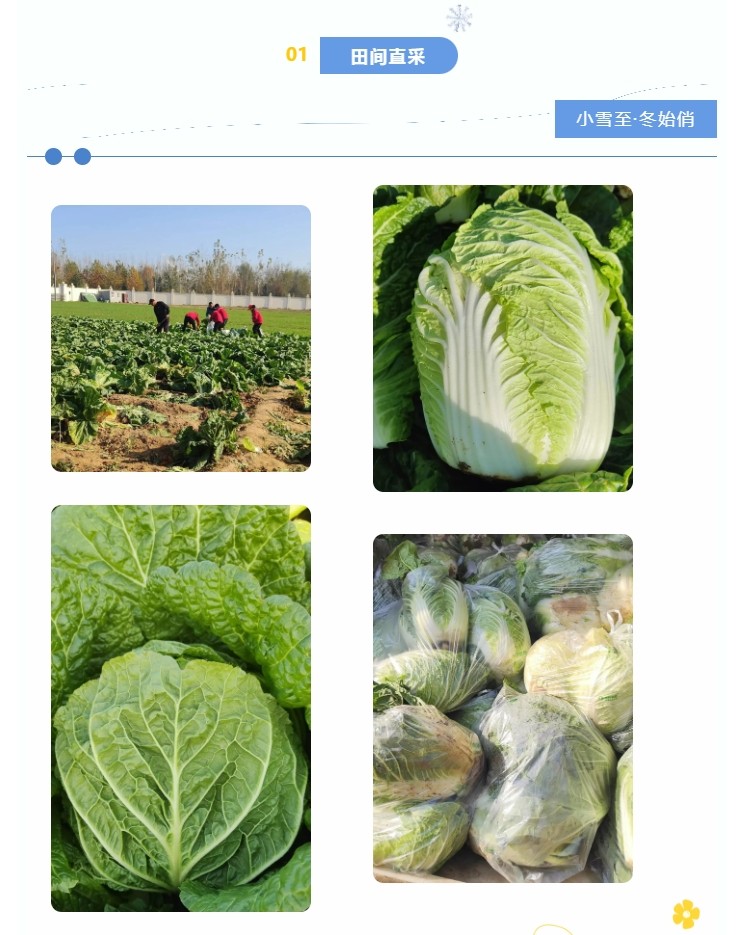 巨佳物业|冬送温暖，心系职工